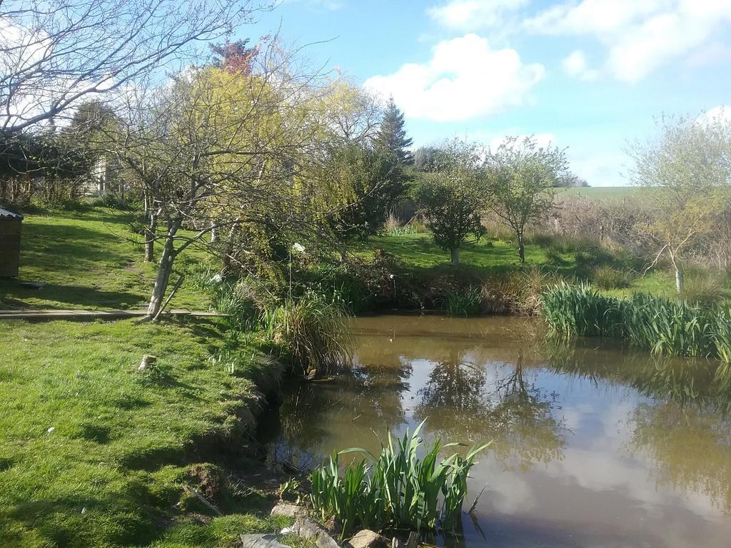 Heathergate Cottage Dartmoor Bnb Lydford Eksteriør billede